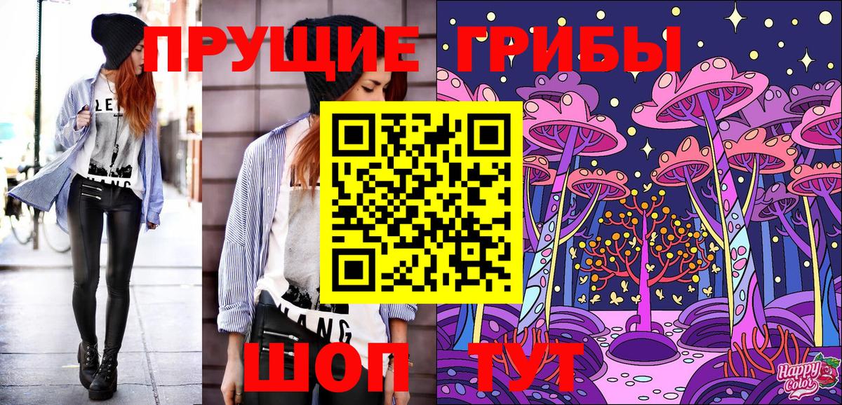 Псилоцибиновые грибы Psilocybine cubensis Дальнегорск