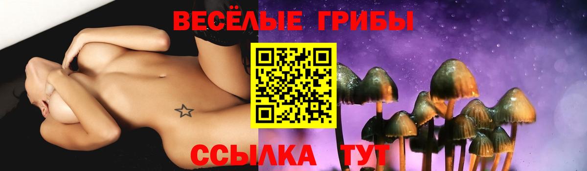 Дальнегорск  как найти   Вход с VPN  Галлюциногенные грибы прущие грибы 